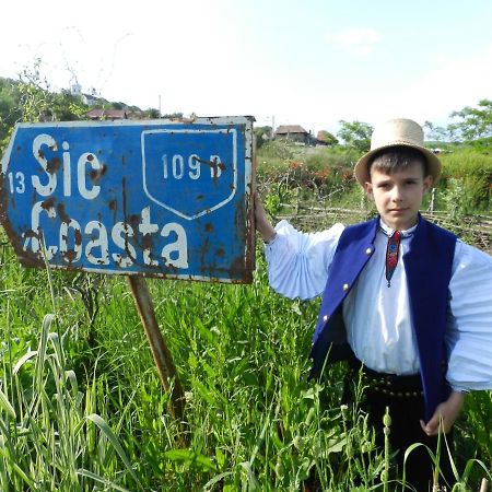 Csipkeszeg Bed&Breakfast Sic / Szék Romania Esterno foto