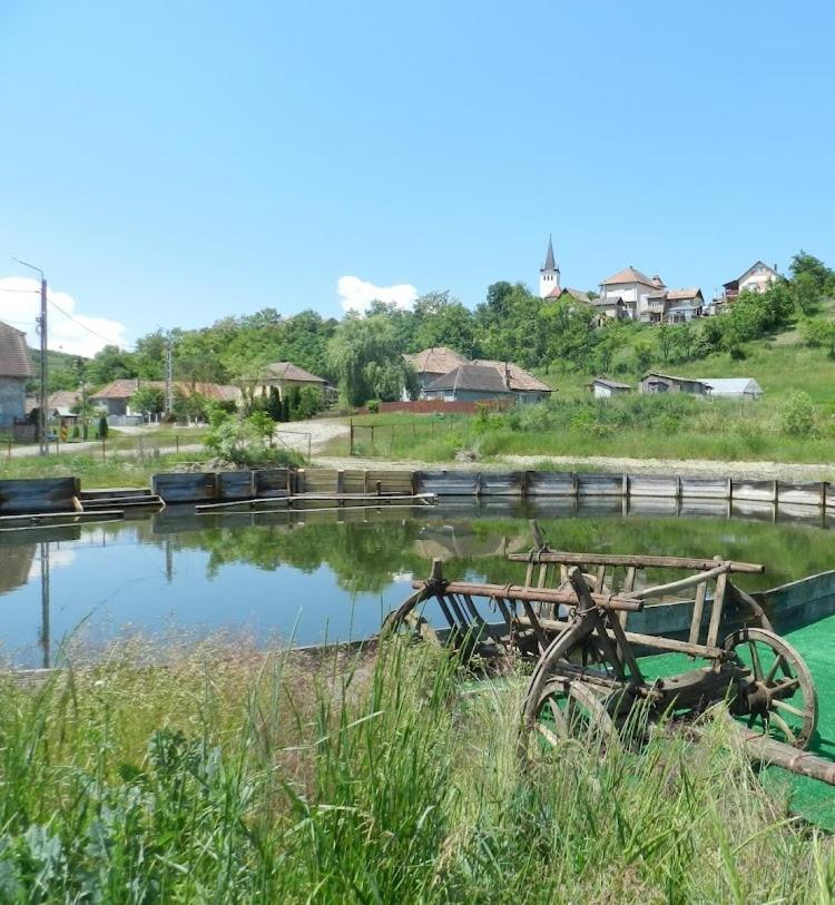 Csipkeszeg Bed&Breakfast Sic / Szék Romania Esterno foto