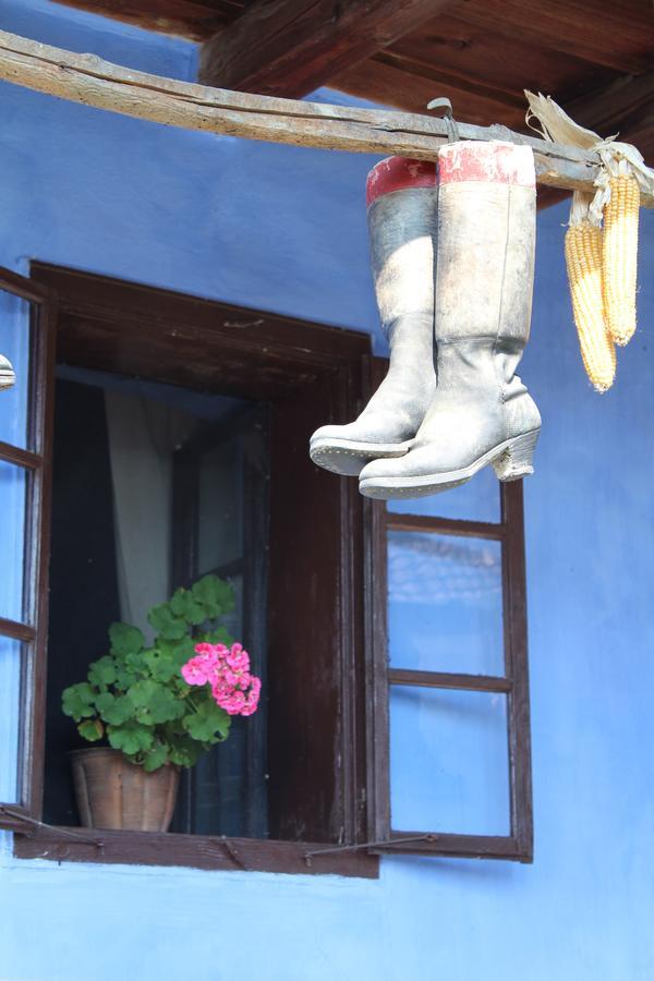 Csipkeszeg Bed&Breakfast Sic / Szék Romania Esterno foto